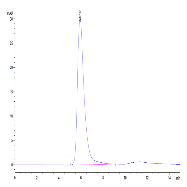 Human Siglec-10 Protein (SIG-HM510)