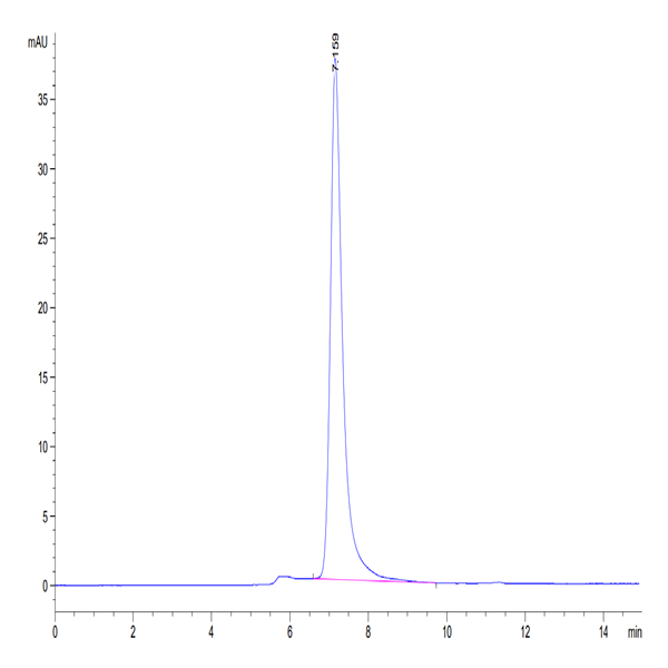 Mouse Siglec-2/CD22 Protein (SIG-MM122)