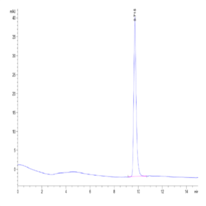 Human SKP1 Protein (SKP-HM401)