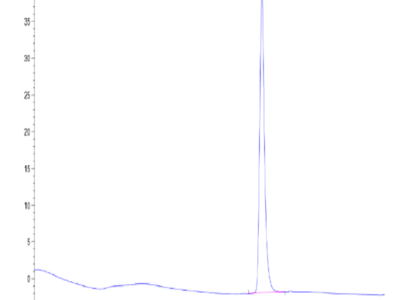 Human SKP1 Protein (SKP-HM401)