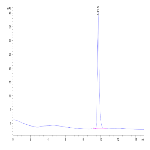 Human SKP1 Protein (SKP-HM401)