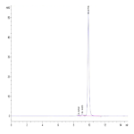 Biotinylated Human SKP1 Protein (SKP-HM401B)