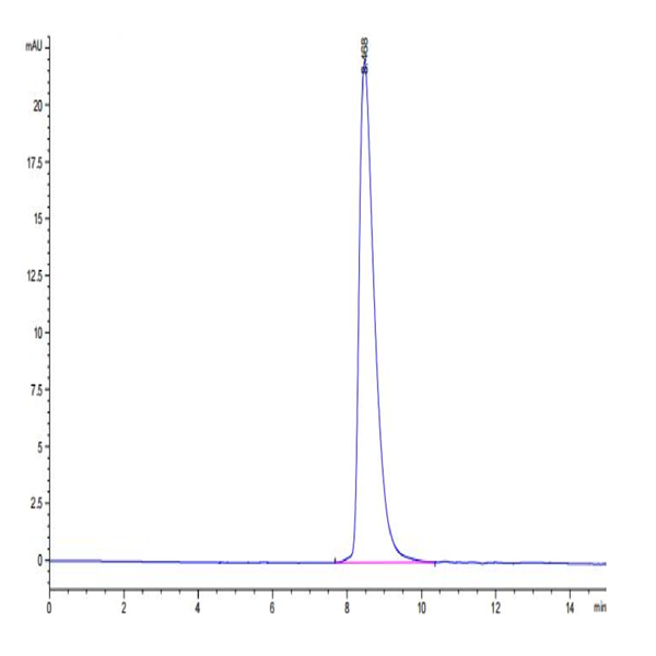Cynomolgus SLAMF6/NTB-A Protein (SLA-CM1F6) Cynomolgus SLAMF6/NTB-A Protein (SLA-CM1F6)