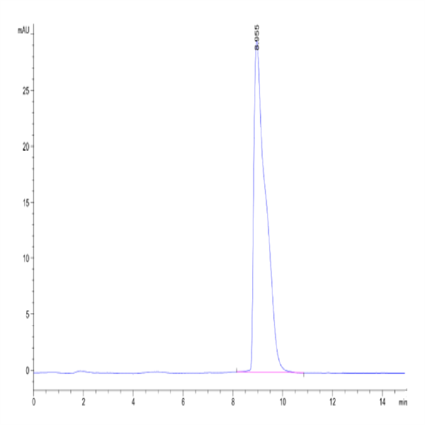 Mouse SLAMF6/NTB-A Protein (SLA-MM1F6) Mouse SLAMF6/NTB-A Protein (SLA-MM1F6)