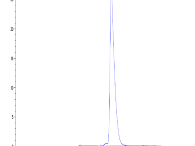 Mouse SLAMF1/SLAM/CD150 Protein (SLA-MM1MF)