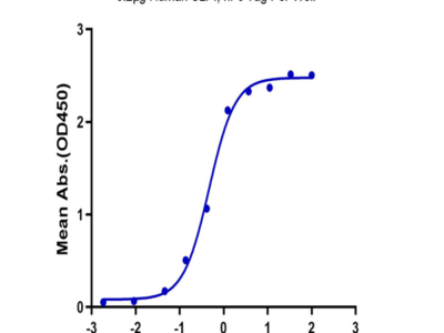 Human SLPI Protein (SLP-HM201)