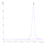 Mouse SLPI Protein (SLP-MM201)
