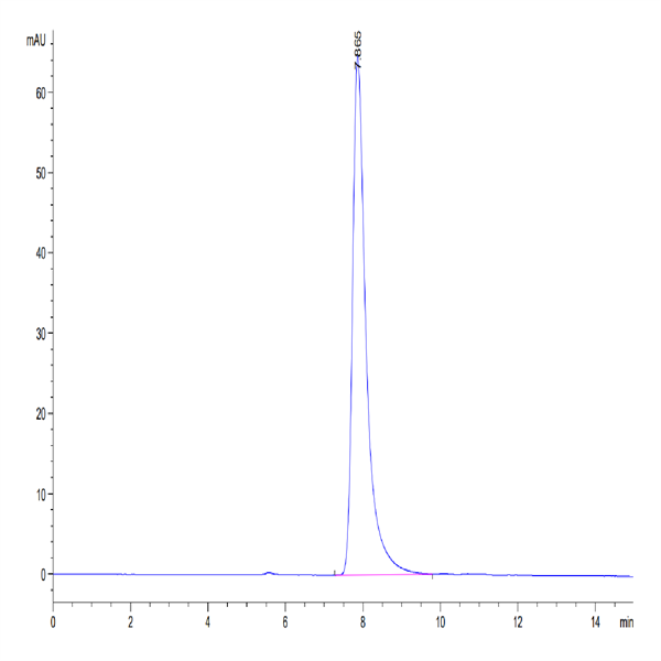 Mouse SLAMF7/CRACC/CD319 Protein (SMF-MM107) Mouse SLAMF7/CRACC/CD319 Protein (SMF-MM107)