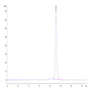 Human SMR3B Protein (SMR-HM33B)