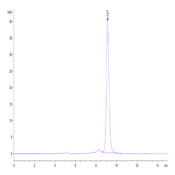 Human SMR3B Protein (SMR-HM33B) Human SMR3B Protein (SMR-HM33B)