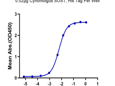Cynomolgus SOST/Sclerostin Protein (SOT-CM101)