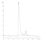 Mouse SP17 Protein (SP7-ME117)