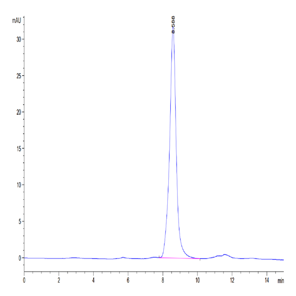 Human SPARC Protein (SPA-HM101)