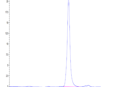 Mouse SPARC Protein (SPA-MM101)