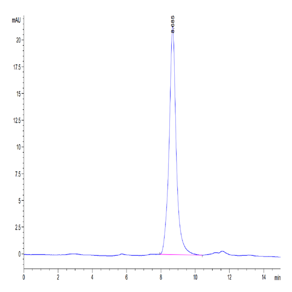 Mouse SPARC Protein (SPA-MM101) Mouse SPARC Protein (SPA-MM101)