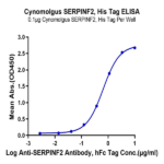 Cynomolgus SERPINF2/A2AP Protein (SPF-CM101)