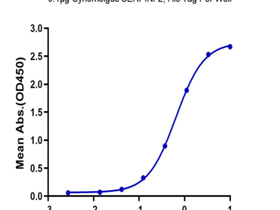 Cynomolgus SERPINF2/A2AP Protein (SPF-CM101)