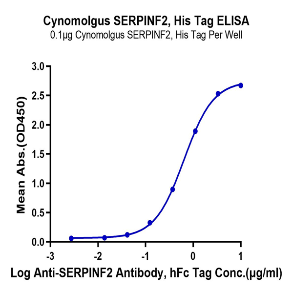 Cynomolgus SERPINF2/A2AP Protein (SPF-CM101) Cynomolgus SERPINF2/A2AP Protein (SPF-CM101)
