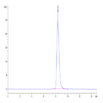 Cynomolgus SERPINF2/A2AP Protein (SPF-CM101)