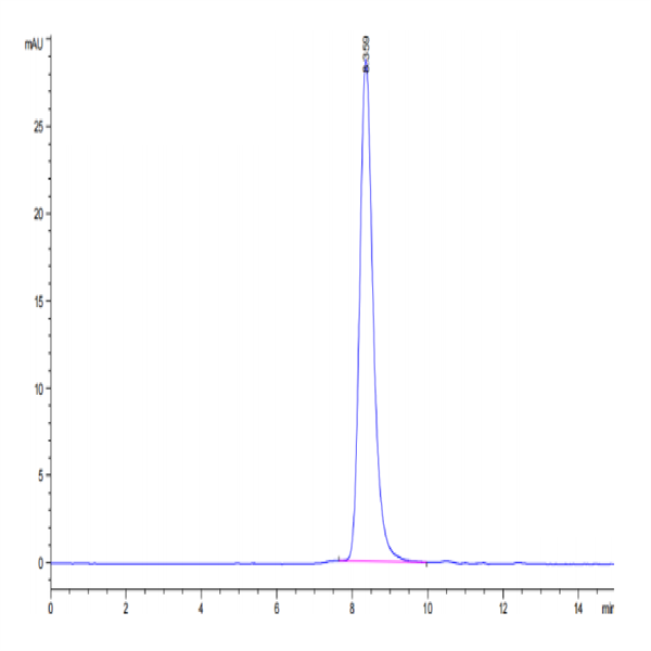 Cynomolgus SERPINF2/A2AP Protein (SPF-CM101)