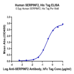 Human SERPINF2/A2AP Protein (SPF-HM101)