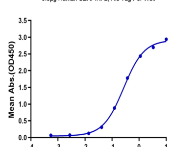 Human SERPINF2/A2AP Protein (SPF-HM101)