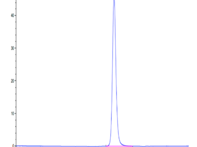 Mouse SERPINF2/A2AP Protein (SPF-MM101)