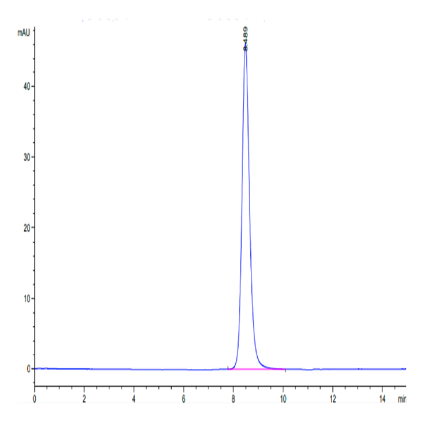 Mouse SERPINF2/A2AP Protein (SPF-MM101) Mouse SERPINF2/A2AP Protein (SPF-MM101)