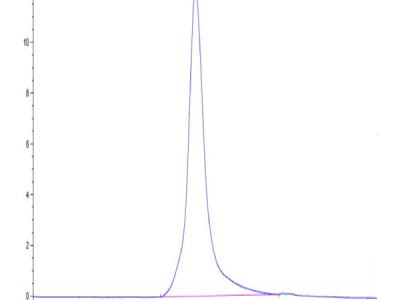 Human CSPG5 Protein (SPG-HM105)