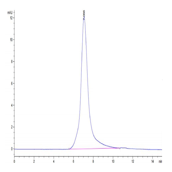 Human CSPG5 Protein (SPG-HM105) Human CSPG5 Protein (SPG-HM105)