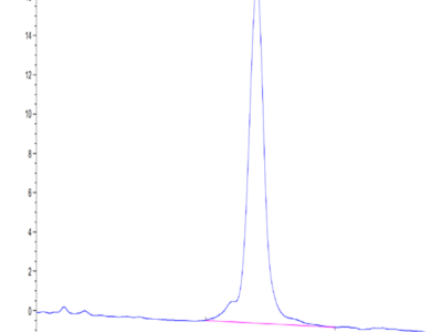 Mouse CSPG5 Protein (SPG-MM105)