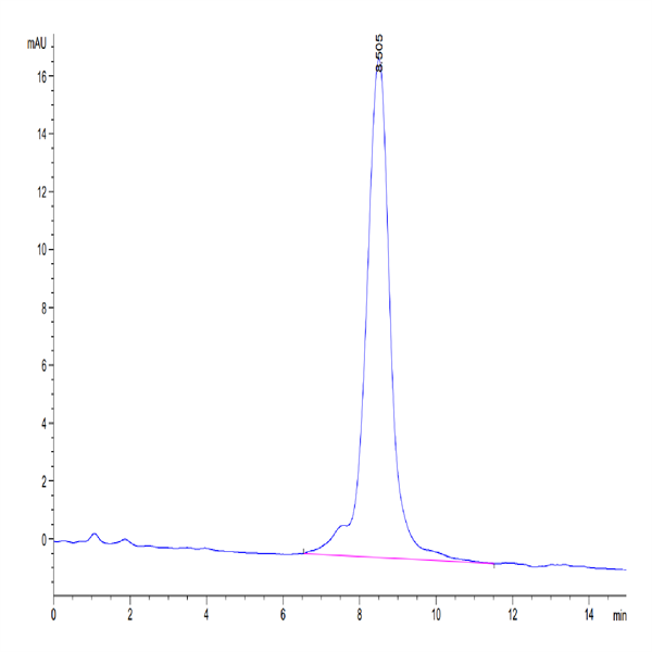 Mouse CSPG5 Protein (SPG-MM105) Mouse CSPG5 Protein (SPG-MM105)