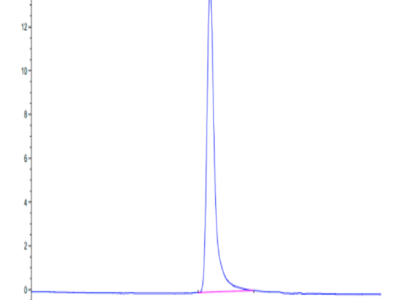 Cynomolgus SPP1/OPN Protein (SPP-CM101)