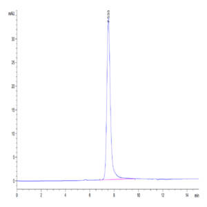 Human SPP1/OPN Protein (SPP-HM101)