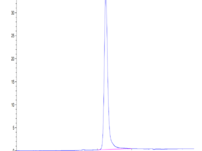 Human SPP1/OPN Protein (SPP-HM101)