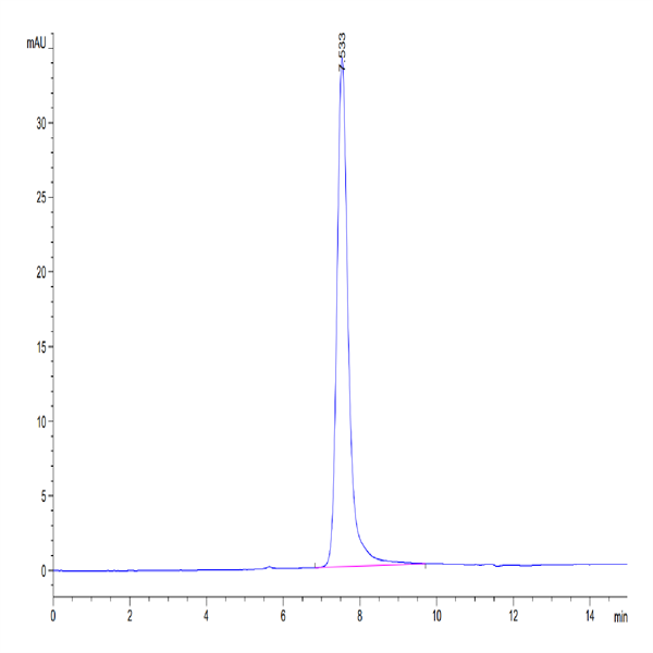 Human SPP1/OPN Protein (SPP-HM101) Human SPP1/OPN Protein (SPP-HM101)