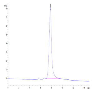 Mouse SPP1/OPN Protein (SPP-MM101)
