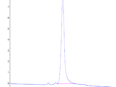 Mouse SPP1/OPN Protein (SPP-MM101)