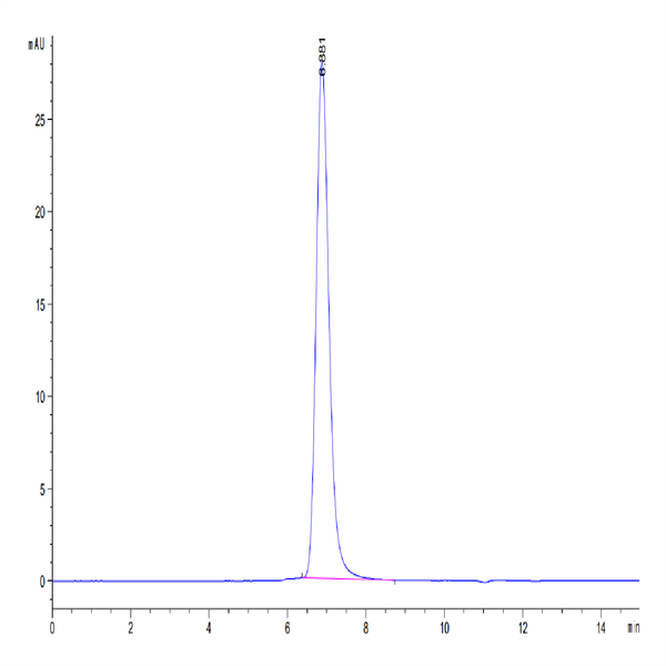 Cynomolgus SIRP alpha/CD172a Protein (SRP-CM172)