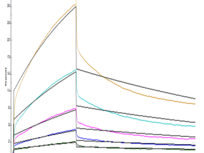 Human SIRP alpha/CD172a Protein (SRP-HM172)