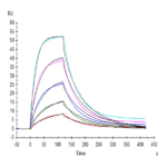 Human SIRP alpha V2/CD172a Protein (SRP-HM1V2)