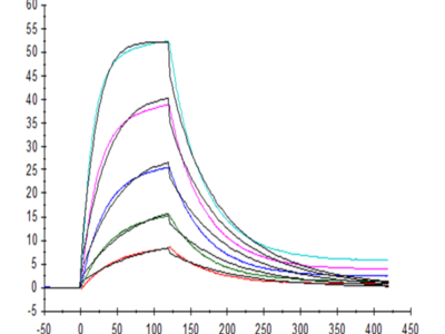 Human SIRP alpha V2/CD172a Protein (SRP-HM1V2)