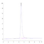 Human SIRP alpha V2/CD172a Protein (SRP-HM1V2)