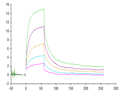 Human SIRP alpha/CD172a Protein (SRP-HM272)