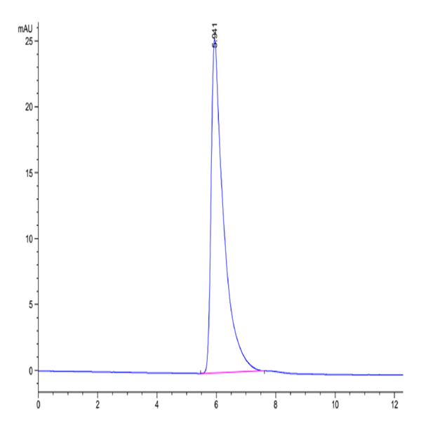 Human SIRP alpha V2/CD172a Protein (SRP-HM2V2)
