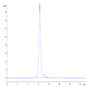 Human SIRP Beta/CD172b Protein (SRP-HM40B)