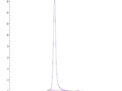 Human SIRP Beta/CD172b Protein (SRP-HM40B)