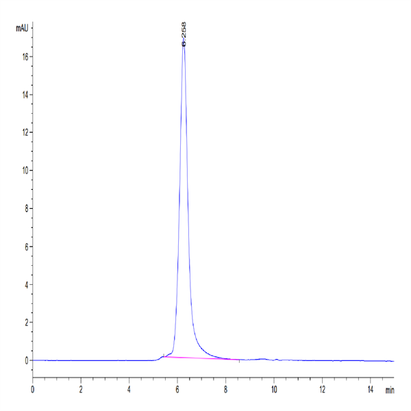 Human SIRP Beta/CD172b Protein (SRP-HM40B) Human SIRP Beta/CD172b Protein (SRP-HM40B)