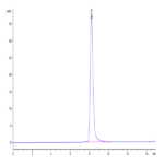 Biotinylated Human SIRP Beta/CD172b Protein (SRP-HM40BB)