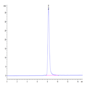 Biotinylated Human SIRP Beta/CD172b Protein (SRP-HM40BB)